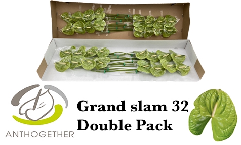 <h4>ANTH A GRAND SLAM 32 Double Pack</h4>