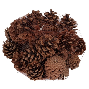 Pine cone 500gr in net Natural