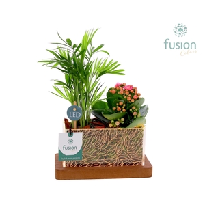 Acryl bakje LED rechthoek met Arrangement