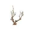 Syringa Branch Super Astorga
