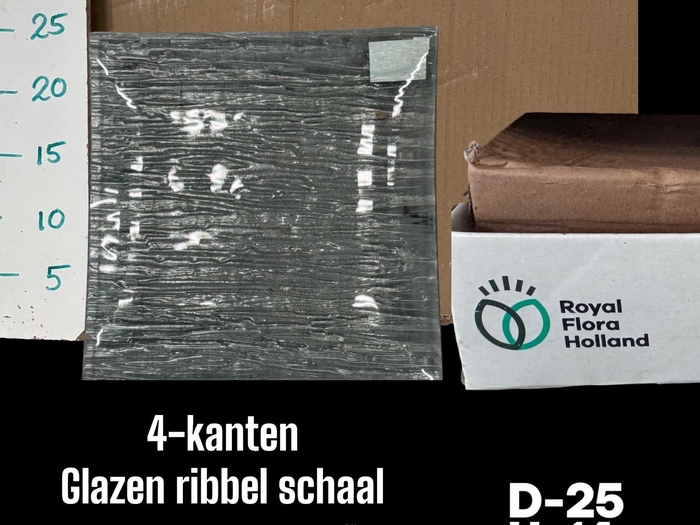 <h4>Glazen Ribbel Schaal H1.7 D25</h4>