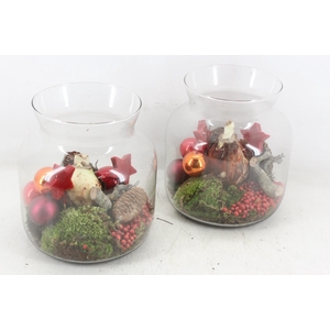 arr4 Amaryllis MB - Glas candy xmas RED