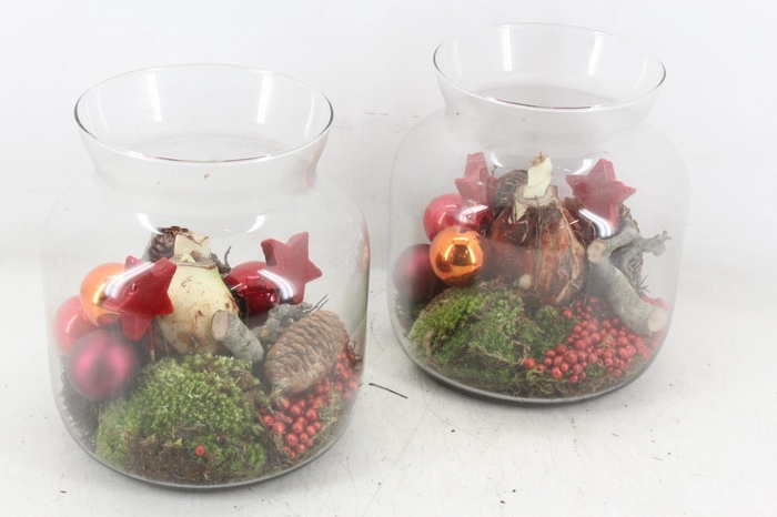 <h4>arr4 Amaryllis MB - Glas candy xmas RED</h4>