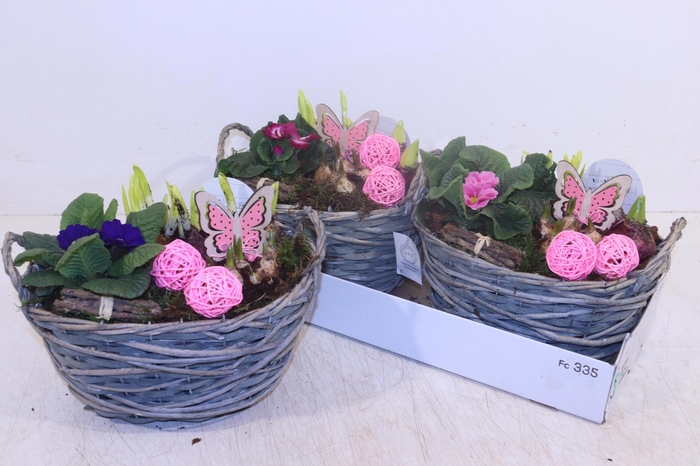 <h4>ARR TUINPLANTEN</h4>