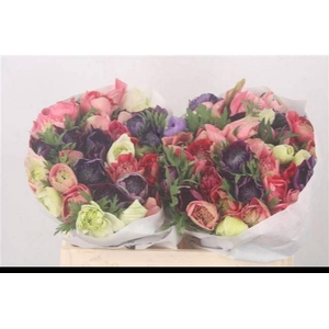 ANEM CO FULLSTAR GEM