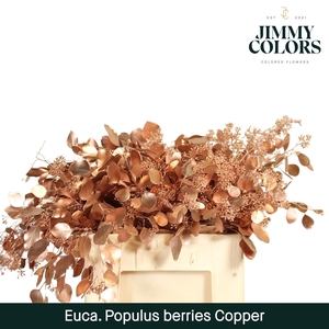 Pop Bes Per Bos 200g Copper