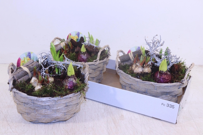 <h4>ARR BOL KNOLGEWAS</h4>