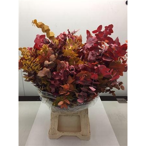 Stuartiana Stabiliseerd 150gr