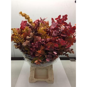 Stuartiana Stabiliseerd 150gr