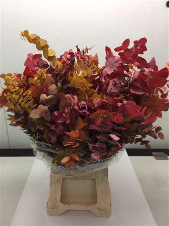 <h4>Stuartiana Stabiliseerd 150gr</h4>