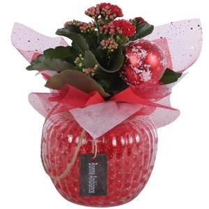 Christmas Arr. Indoor Glass Round Relief Ø15cm 1PP