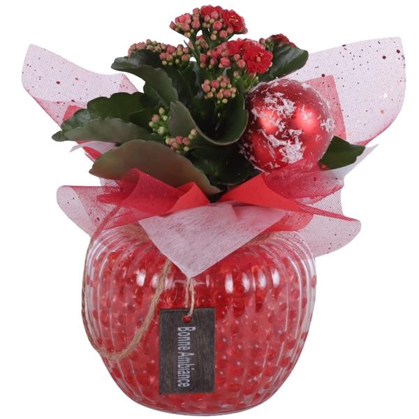 <h4>Christmas Arr. Indoor Glass Round Relief Ø15cm 1PP</h4>