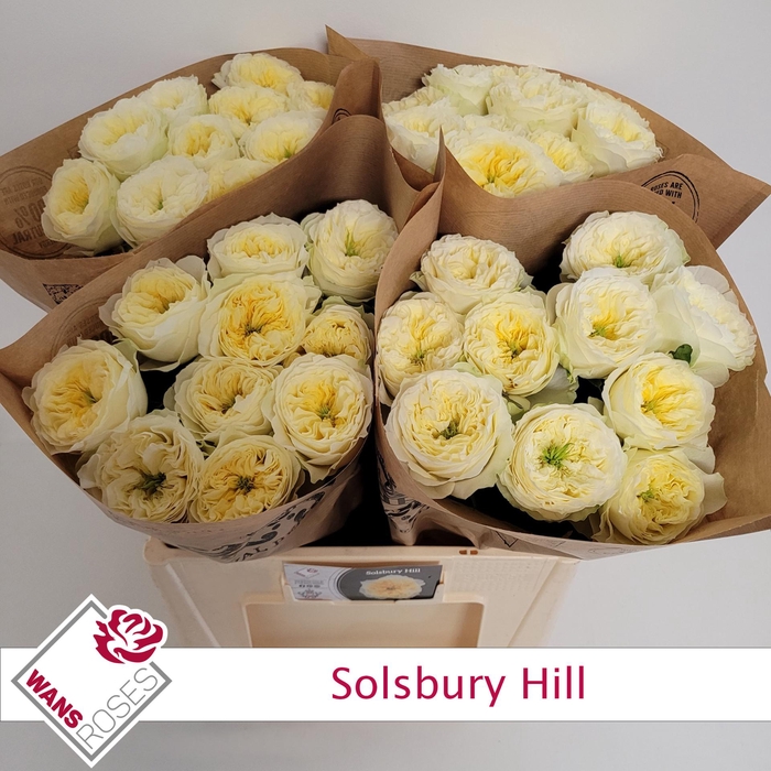 <h4>R GR SOLSBURY HILL</h4>