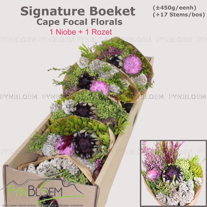 <h4>PROTEA PER BOS</h4>