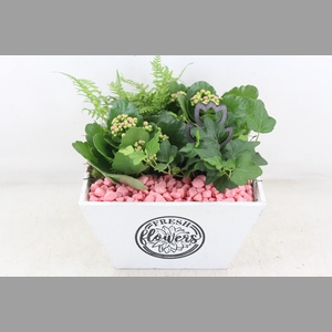 arr2 PL - Hout 4kant pot los Roze