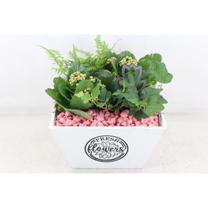 arr2 PL - Hout 4kant pot los Roze