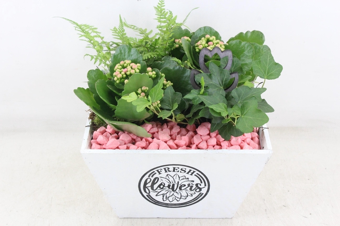 Arr2 Pl - Hout 4kant Pot Los Roze