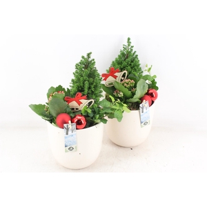 arr2 JS - Ker. pot white x3 picea