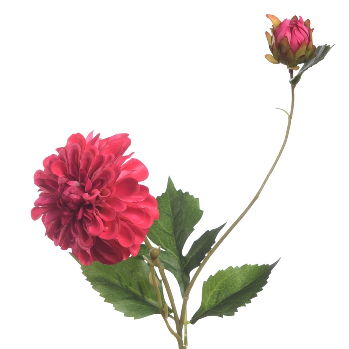 <h4>Af Dahl Pomp X2 65cm Magenta</h4>