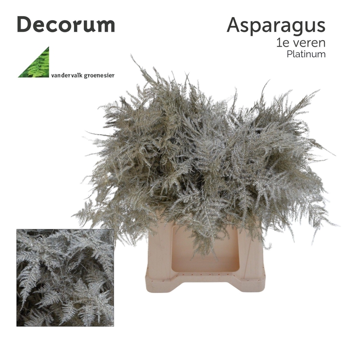 <h4>Asp 1e veren Platinum</h4>