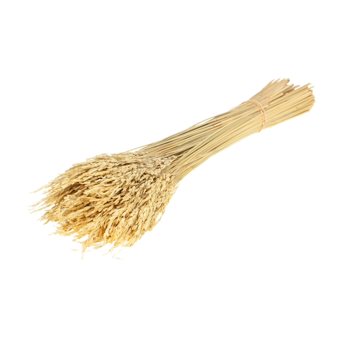 <h4>Rice Natural</h4>