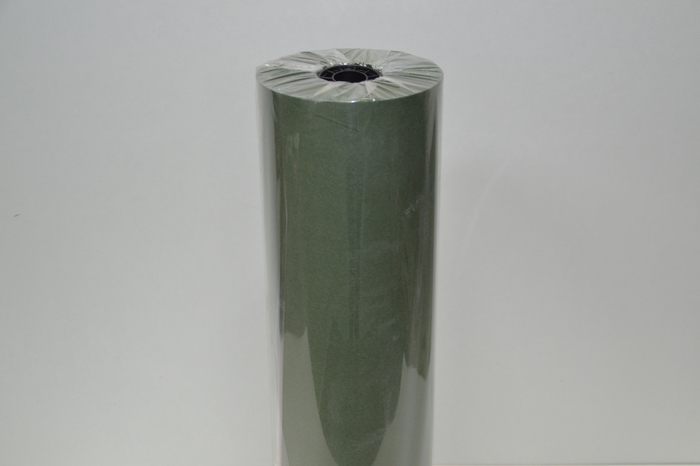 <h4>ROL ZIJDE P 50 MOSGR</h4>