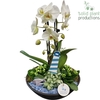 PH012 Ebbi White Maritiem