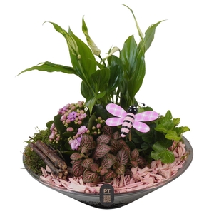 2668 ROZE GLAS 28 SPATH