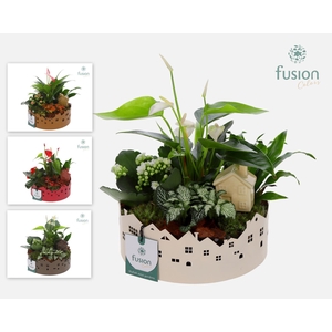 Zinken schaal Huisjes Medium met arrangement