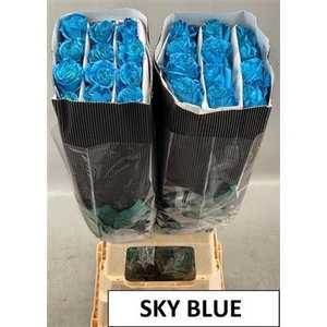 R Gr Sky Blue Ec