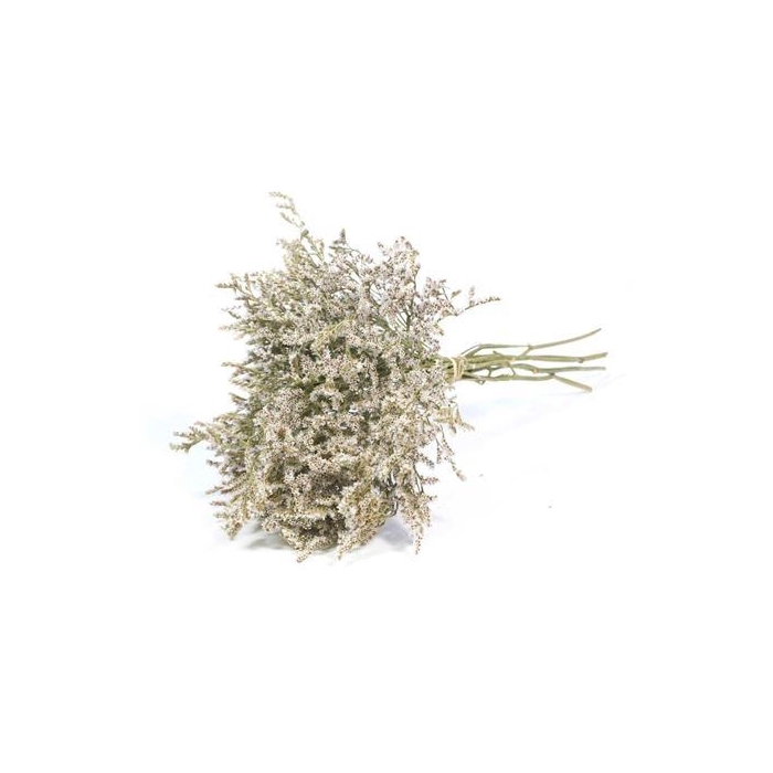 <h4>Bunch Tatarica Slv L40</h4>