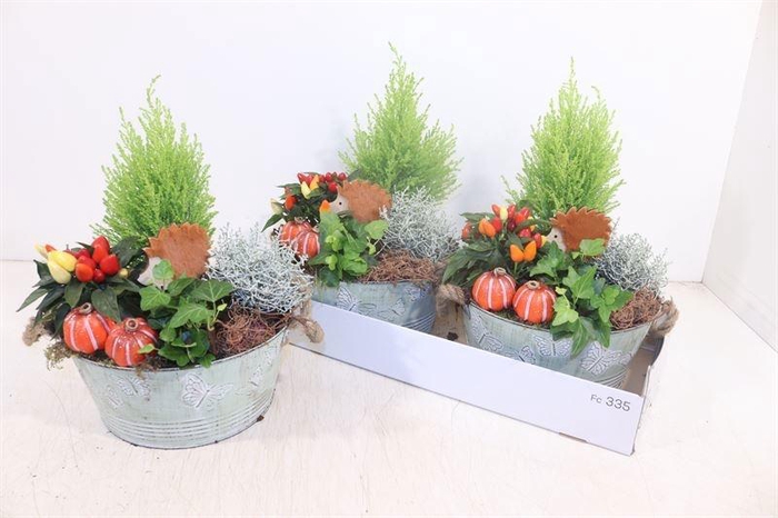 <h4>ARR TUINPLANTEN</h4>