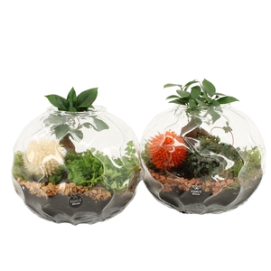 41567: Treasure time arrangement