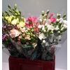 Dianthus Spray Mix P/Color Wh/Yel/Or/Red/Pink/Bicolor