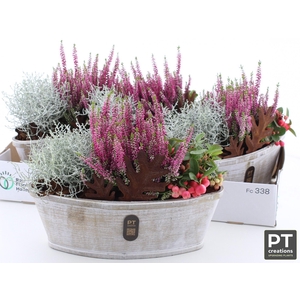 ARR TUINPLANTEN