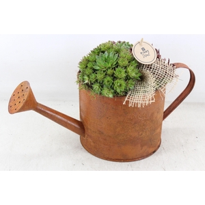 arr4 Semp PL - Roest gieter 285/4