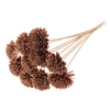 Shola Zinia Ø8cm on stem Copper