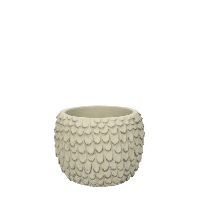 <h4>Siroloa pot d12*10cm</h4>