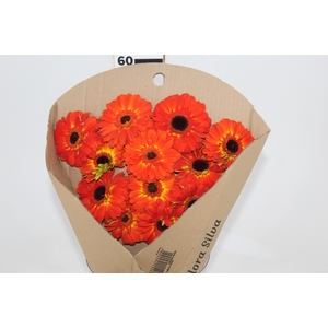 GERBERA ENTOURAGE < 050 CM > 10 CM DIAM LARANJA