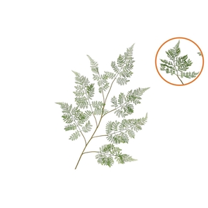 Silk Fern Forest Green 138cm Nm