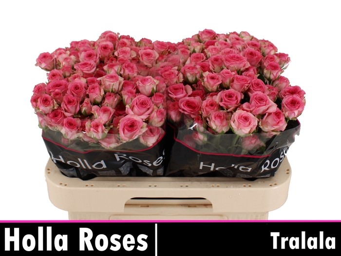 Tralala