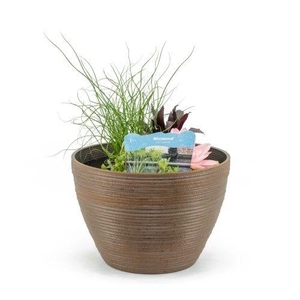 Terrasv de luxe roest inc. mand