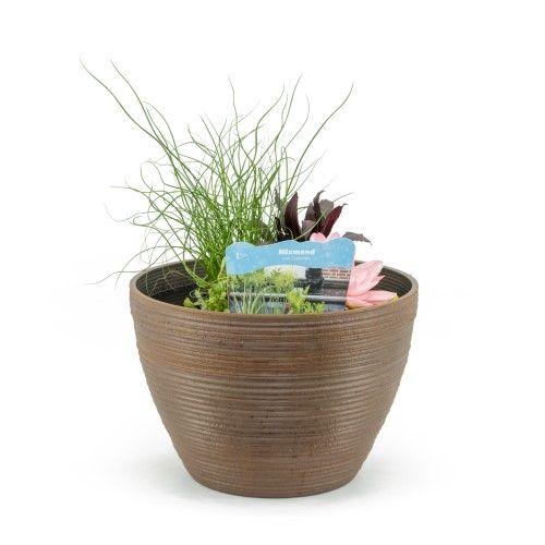 Terrasv de luxe roest inc. mand