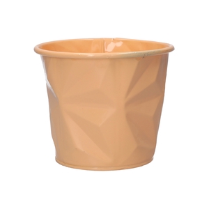 DF04-666773337 - Pot Zinna d12.5xh10.5 peach