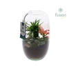 Arrangementen kamerplanten groen H% glasvaas FC-23.0972FDH