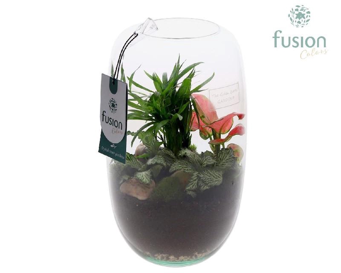 Arrangementen kamerplanten groen H% glasvaas FC-23.0972FDH