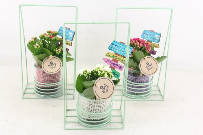 <h4>arr2 PL - Glas pot in frame mix 250/6</h4>