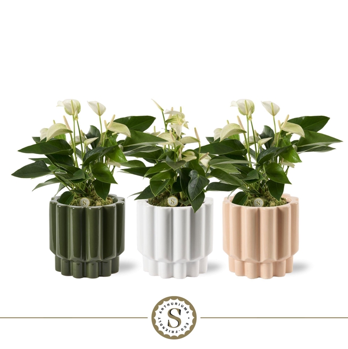 <h4>Monza Keramiek White</h4>