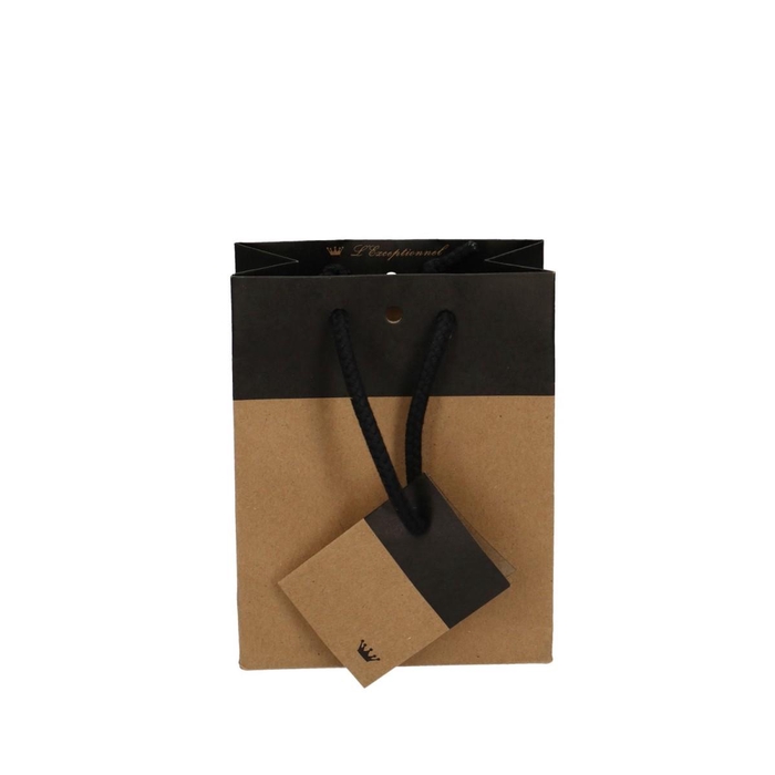 <h4>Bags Gift bag duo 6*11*14cm</h4>