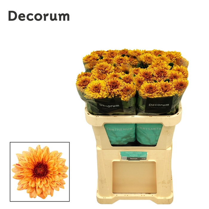 <h4>CHR G PIP AUTUMN</h4>